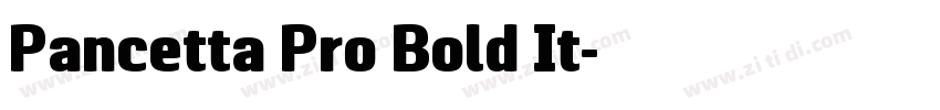 Pancetta Pro Bold It字体转换
